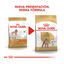 Royal Canin Adult Poodle ração para cães, , large Indicador imagem número 3